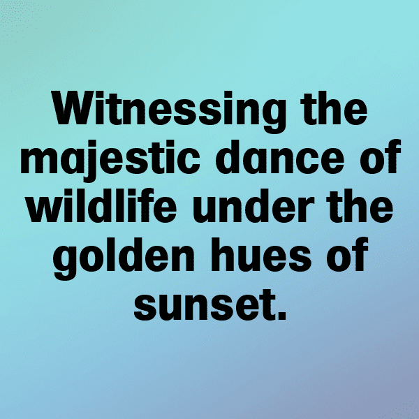 224+ Djibouti Captions For Instagram In 2025 9 Djibouti Captions Photo For Instagram-gAzjtN