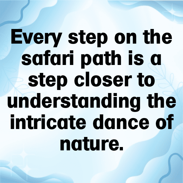 224+ Djibouti Captions For Instagram In 2025 7 Djibouti Captions Photo For Instagram-mVn2s6