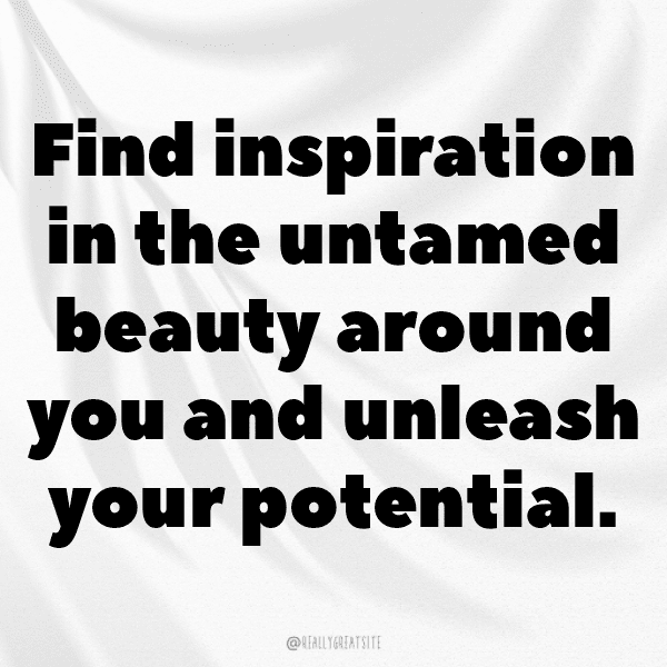 224+ Djibouti Captions For Instagram In 2025 8 Djibouti Captions Photo For Instagram-Q6xdGN