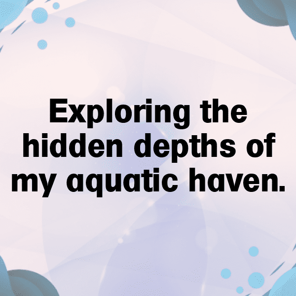 254+ Dolphin Captions For Instagram (Fresh & Trendy) 14 Dolphin Captions Image For Instagram-bsz3gv