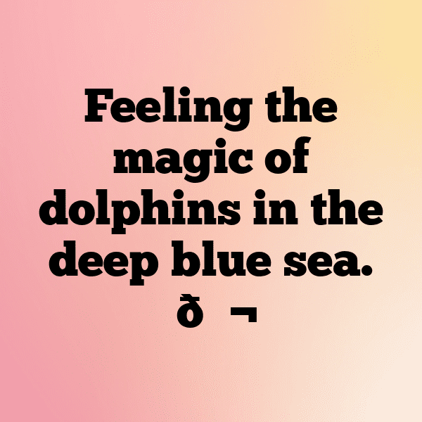 254+ Dolphin Captions For Instagram (Fresh & Trendy) 15 Dolphin Captions Image For Instagram-gyeOrG