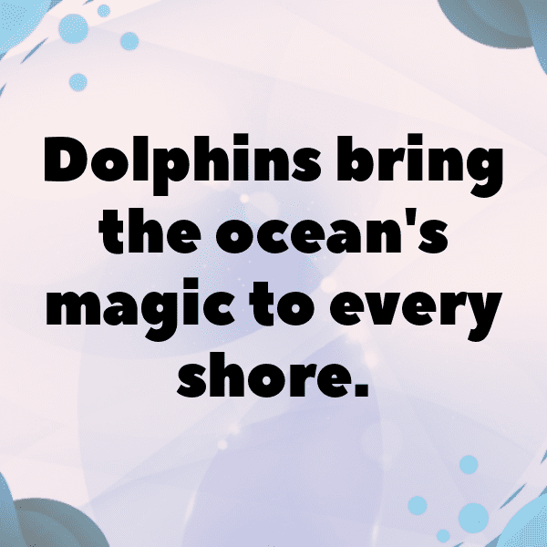 254+ Dolphin Captions For Instagram (Fresh & Trendy) 6 Dolphin Captions Image For Instagram-QFKAbg