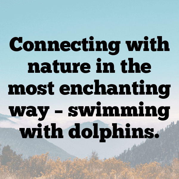 254+ Dolphin Captions For Instagram (Fresh & Trendy) 17 Dolphin Captions Photo For Instagram-aPo4Bi