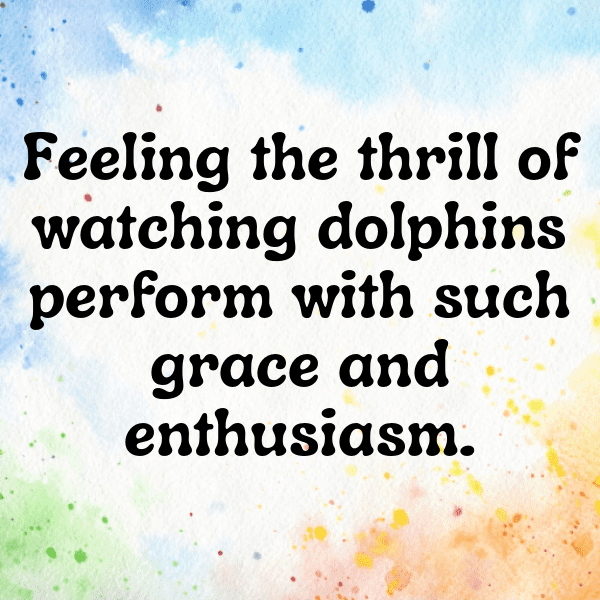 254+ Dolphin Captions For Instagram (Fresh & Trendy) 12 Dolphin Captions Photo For Instagram-FkBYss