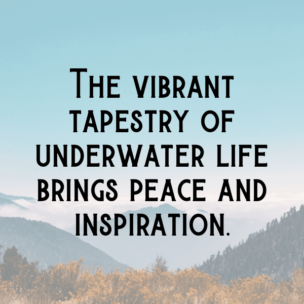 254+ Dolphin Captions For Instagram (Fresh & Trendy) 9 Dolphin Captions Photo For Instagram-HccGEE