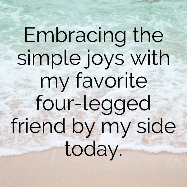 Donkey Captions Image For Instagram-SyGDwp