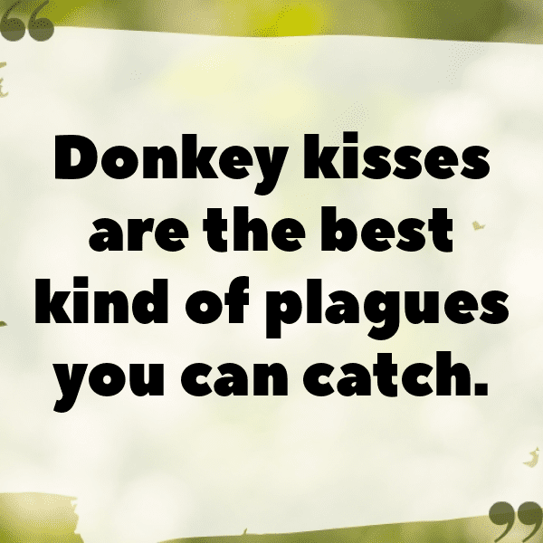 Donkey Captions Image For Instagram-tmgG7U