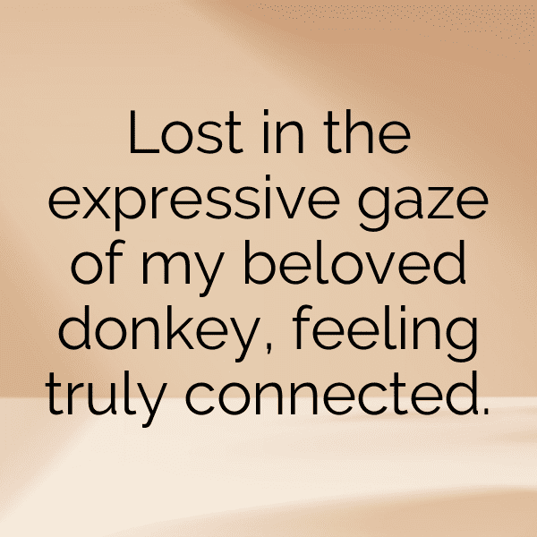Donkey Captions Photo For Instagram-RpRzMS
