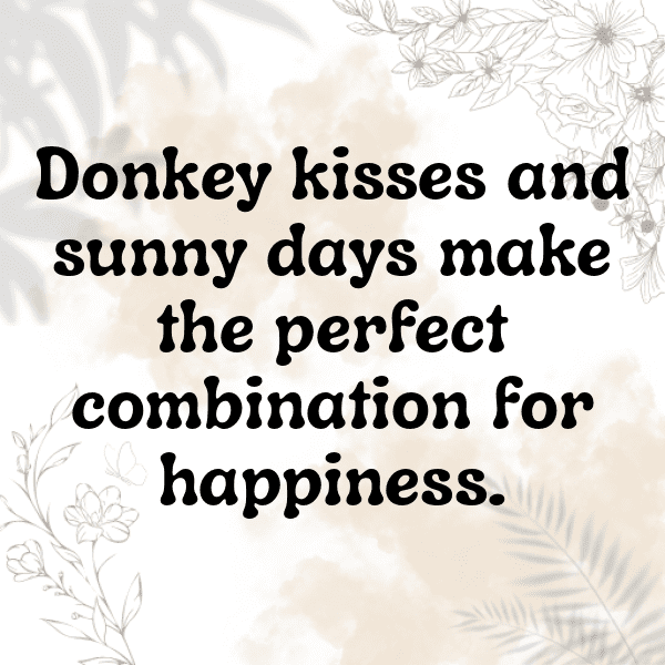 265+ Donkey Kong Captions for Instagram In 2025 9 Donkey Kong Captions Image for Instagram-YUPdag