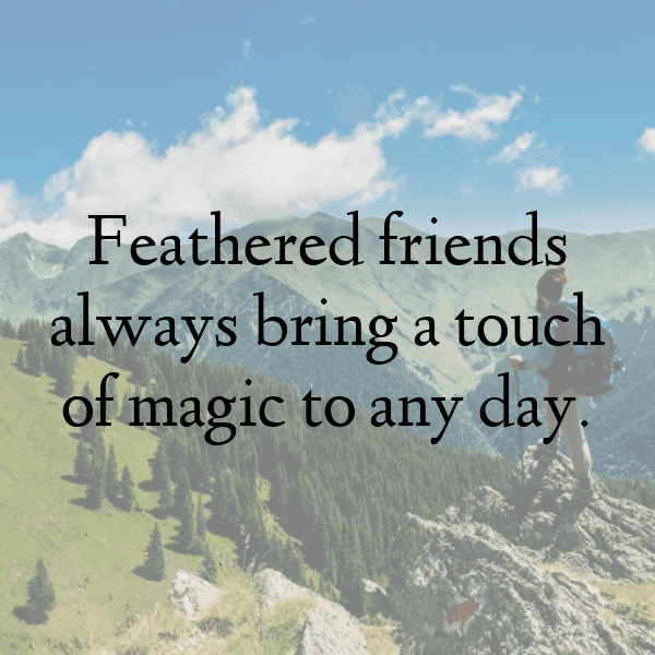 275+ Dove Captions For Instagram (Short, Trending & Viral) 11 Dove Captions Image For Instagram-5iIUch