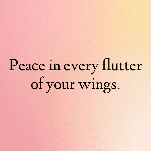 275+ Dove Captions For Instagram (Short, Trending & Viral) 10 Dove Captions Image For Instagram-srRn9H