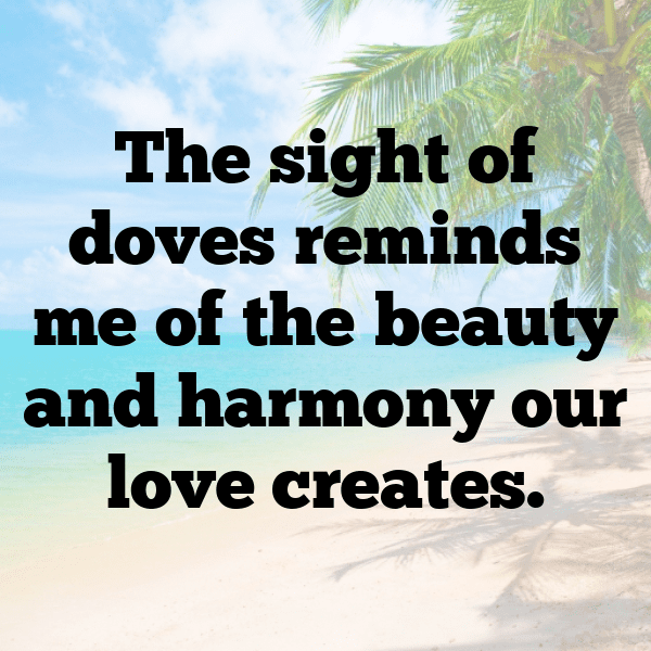 275+ Dove Captions For Instagram (Short, Trending & Viral) 5 Dove Captions Photo For Instagram-3iHOh9