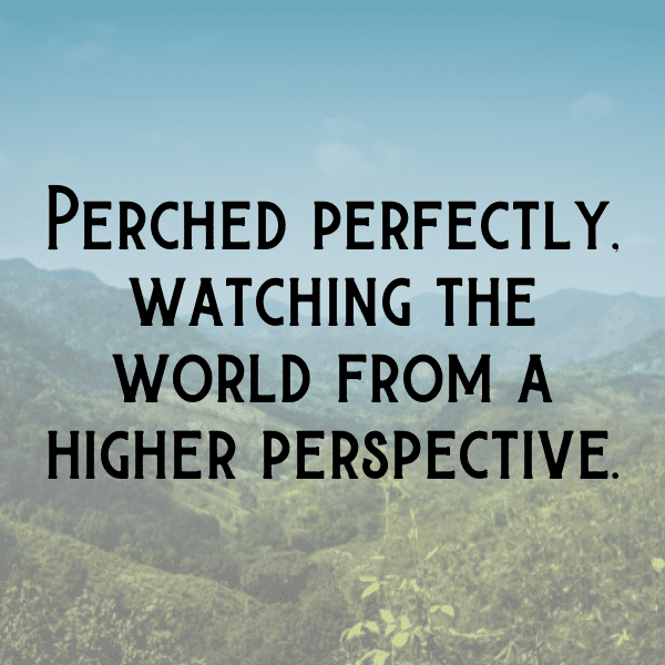 275+ Dove Captions For Instagram (Short, Trending & Viral) 16 Dove Captions Photo For Instagram-3JrPJc