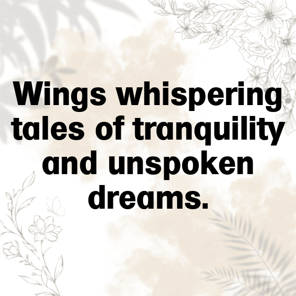 275+ Dove Captions For Instagram (Short, Trending & Viral) 14 Dove Captions Photo For Instagram-8U8Qkg