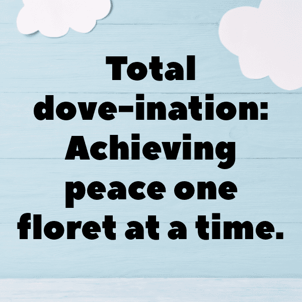 275+ Dove Captions For Instagram (Short, Trending & Viral) 9 Dove Captions Photo For Instagram-x2JhbO