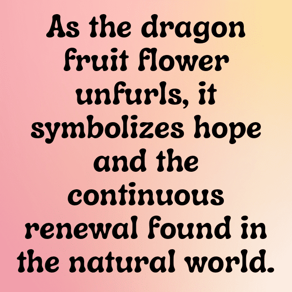 Dragon Carrot Captions Photo For Instagram-thRp9f