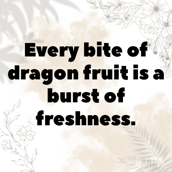 308+ Dragon Fruit Captions For Instagram (Fresh & Trendy) 7 Dragon Fruit Captions Image For Instagram-DU7RcL