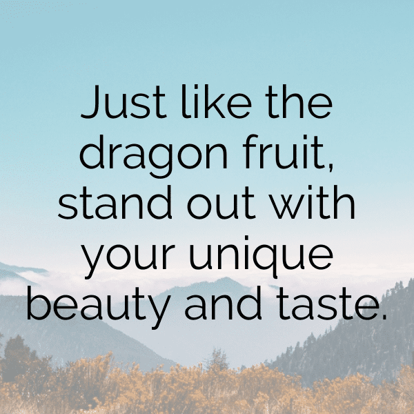 308+ Dragon Fruit Captions For Instagram (Fresh & Trendy) 13 Dragon Fruit Captions Image For Instagram-HY3a0s