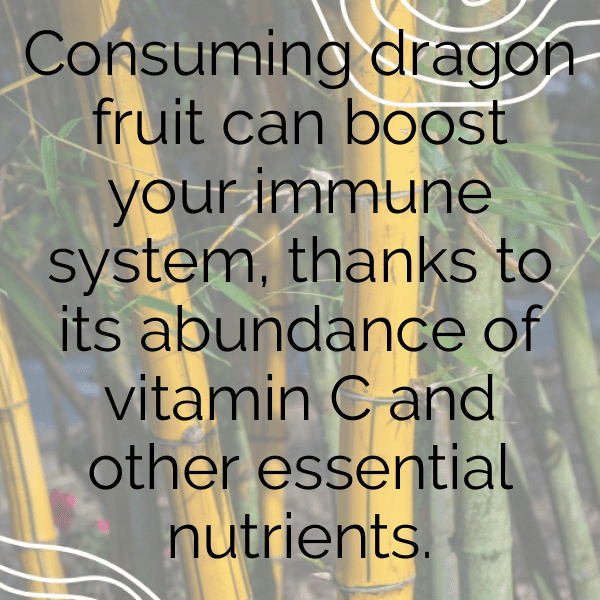 308+ Dragon Fruit Captions For Instagram (Fresh & Trendy) 3 Dragon Fruit Captions Photo For Instagram-DAjUD5