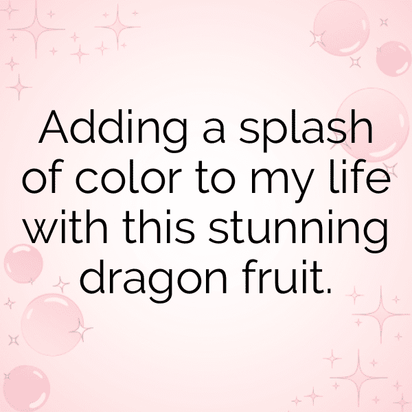 308+ Dragon Fruit Captions For Instagram (Fresh & Trendy) 5 Dragon Fruit Captions Photo For Instagram-QDVWaB