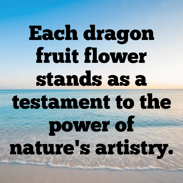 308+ Dragon Fruit Captions For Instagram (Fresh & Trendy) 8 Dragon Fruit Captions Photo For Instagram-Vx4ule