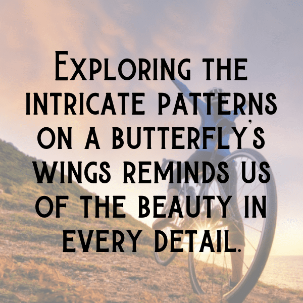 295+ Dragonfly Captions For Instagram In 2025 15 Dragonfly Captions Image For Instagram-71AsgE