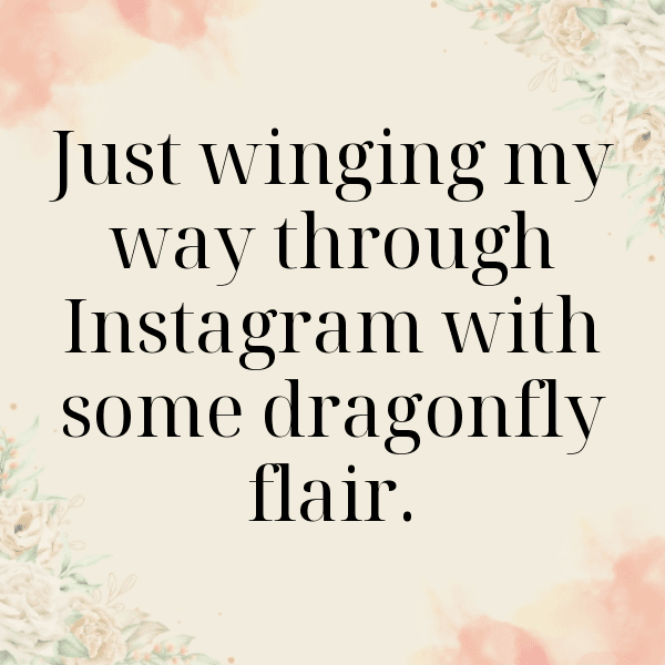 295+ Dragonfly Captions For Instagram In 2025 3 Dragonfly Captions Image For Instagram-j8JW3L