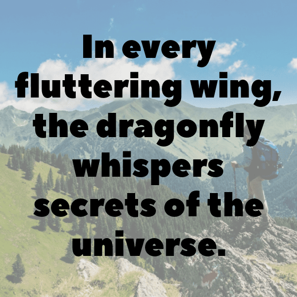 295+ Dragonfly Captions For Instagram In 2025 4 Dragonfly Captions Image For Instagram-L1jiHS