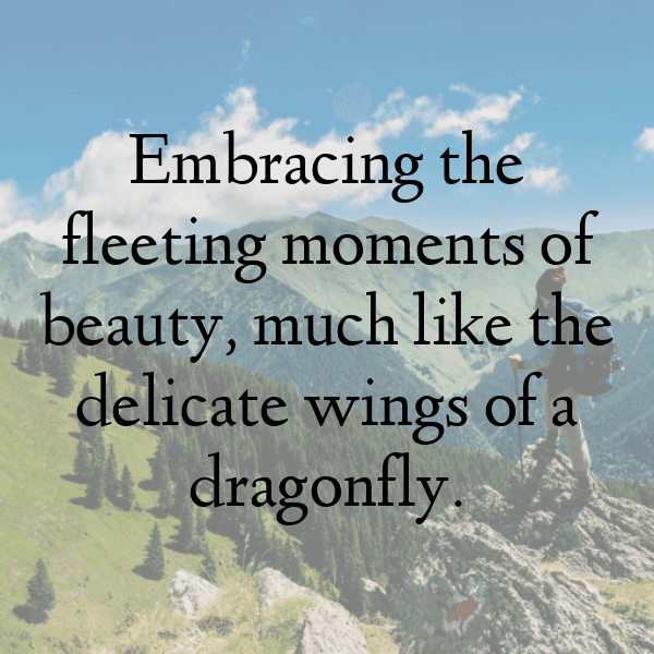 295+ Dragonfly Captions For Instagram In 2025 13 Dragonfly Captions Image For Instagram-qTHXQz