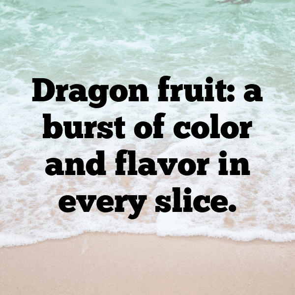 295+ Dragonfly Captions For Instagram In 2025 11 Dragonfly Captions Photo For Instagram-FgR4zT