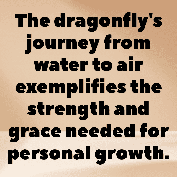 295+ Dragonfly Captions For Instagram In 2025 9 Dragonfly Captions Photo For Instagram-jIIqH7