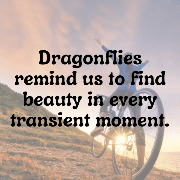 295+ Dragonfly Captions For Instagram In 2025 8 Dragonfly Captions Photo For Instagram-KzI5b6