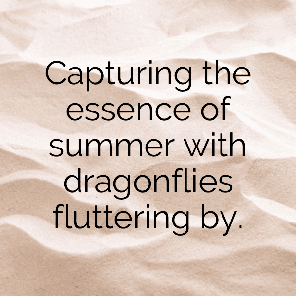 295+ Dragonfly Captions For Instagram In 2025 14 Dragonfly Captions Photo For Instagram-XsmDoV