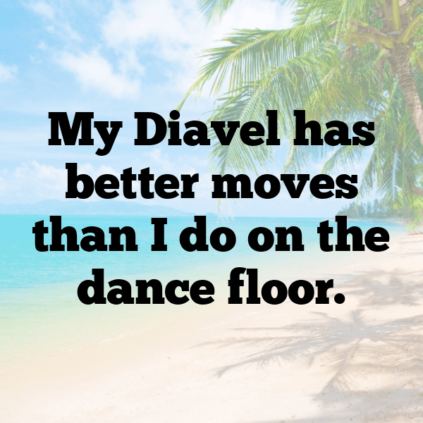 Ducati Diavel Captions Photo for Instagram-yyRkOr