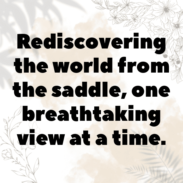 Ducati Multistrada Captions Photo for Instagram-Hglimw