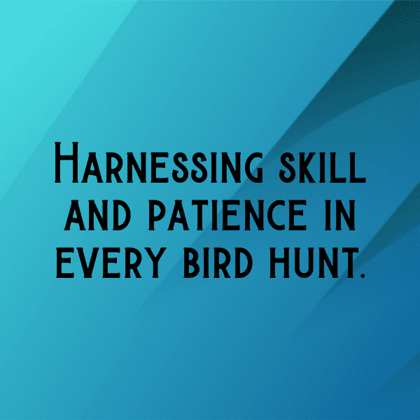 Duck Captions Image For Instagram-nw7odY