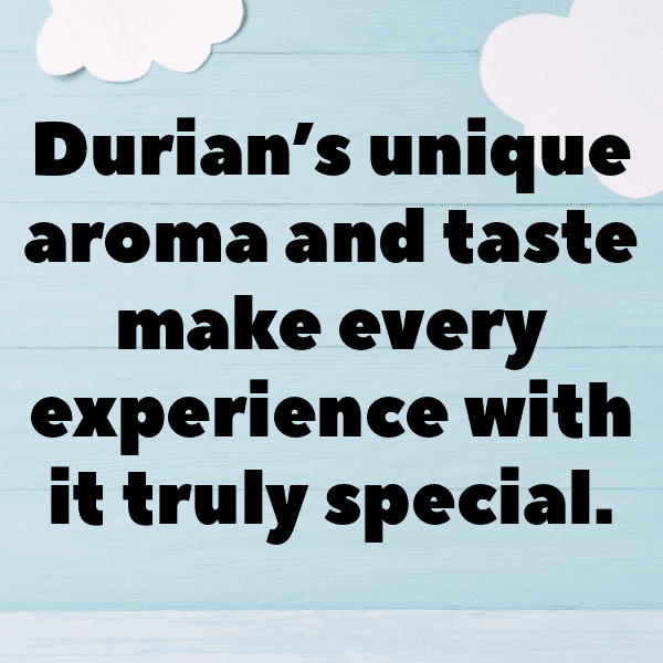 225+ Durian Captions For Instagram (Short, Trending & Viral) 9 Durian Captions Photo For Instagram-qGjy3P