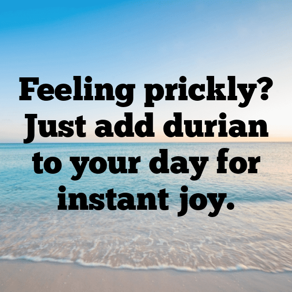 225+ Durian Captions For Instagram (Short, Trending & Viral) 13 Durian Captions Photo For Instagram-ZwokTr