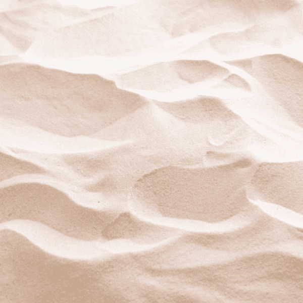 321+ Eagle Captions For Instagram (Fresh & Trendy) 13 Eagle Captions Image For Instagram-EbN1r9