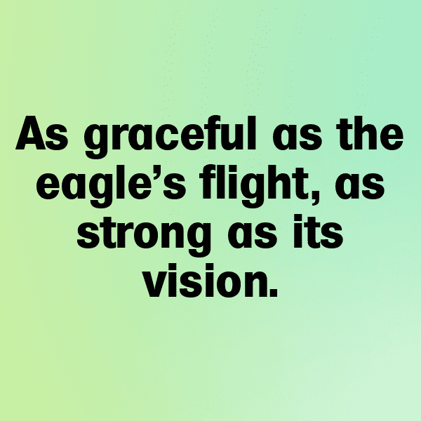 321+ Eagle Captions For Instagram (Fresh & Trendy) 6 Eagle Captions Image For Instagram-Uoyrlb