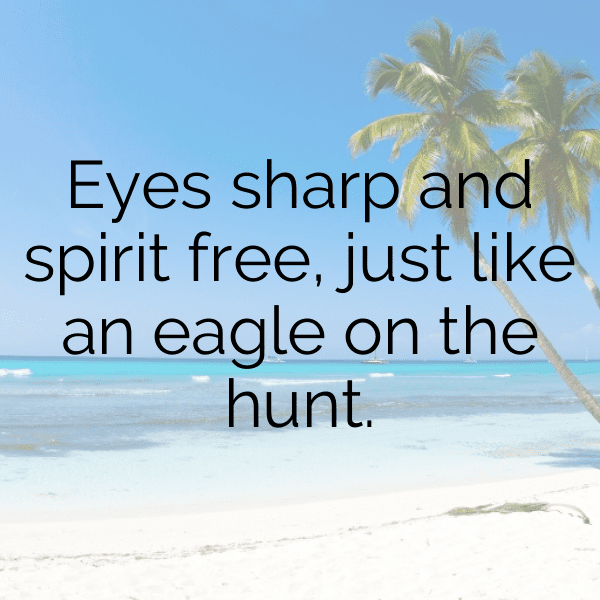 321+ Eagle Captions For Instagram (Fresh & Trendy) 5 Eagle Captions Image For Instagram-vl66Cb