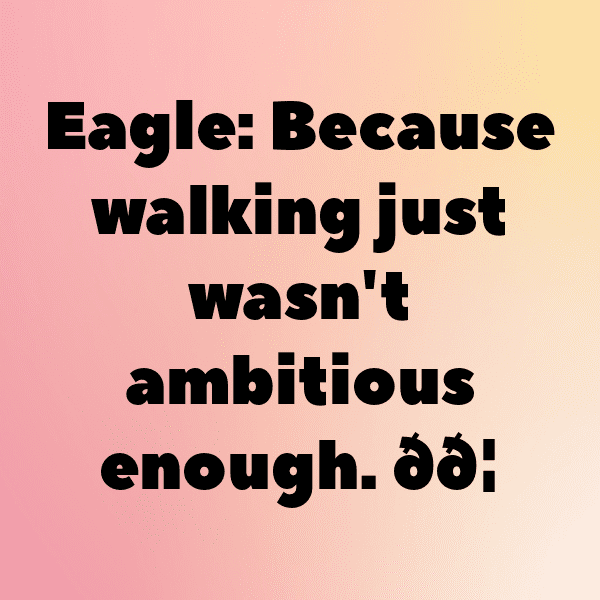 321+ Eagle Captions For Instagram (Fresh & Trendy) 9 Eagle Captions Photo For Instagram-c5L3Tq