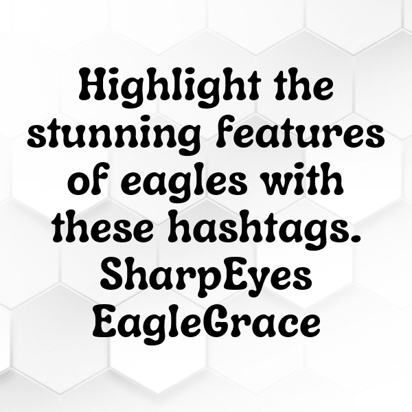 321+ Eagle Captions For Instagram (Fresh & Trendy) 8 Eagle Captions Photo For Instagram-yK6d6o
