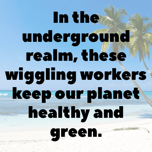 227+ Earthworm Captions For Instagram (Trending, Funny & Top) 7 Earthworm Captions Photo For Instagram-zB9ICZ