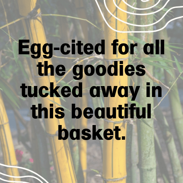 280+ Easter Captions for Instagram (Trending, Funny & Top) 11 Easter Captions Image for Instagram-zfIhw2