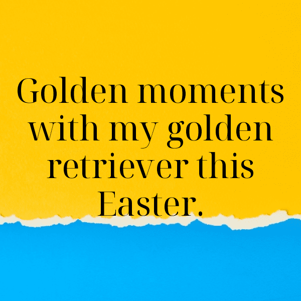 280+ Easter Captions for Instagram (Trending, Funny & Top) 15 Easter Captions Photo for Instagram-Cu0Qov