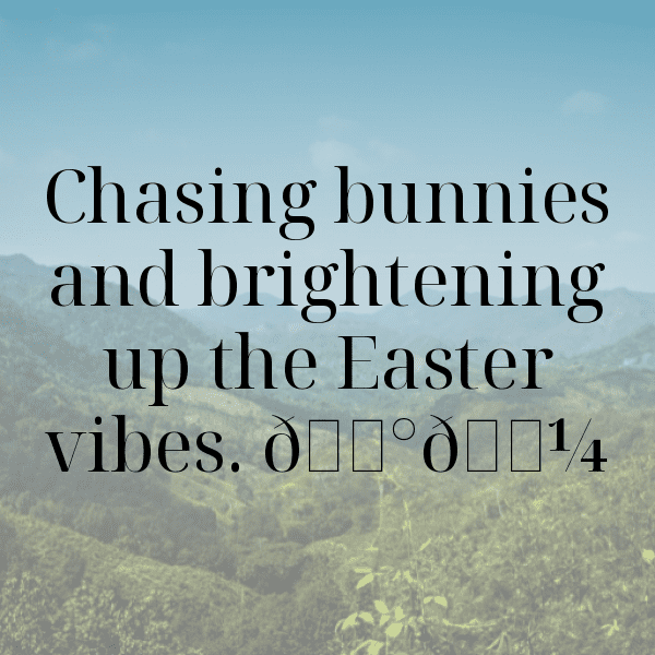 322+ Easter Monday Captions for Instagram In 2025 4 Easter Monday Captions Photo for Instagram-kEPO1G