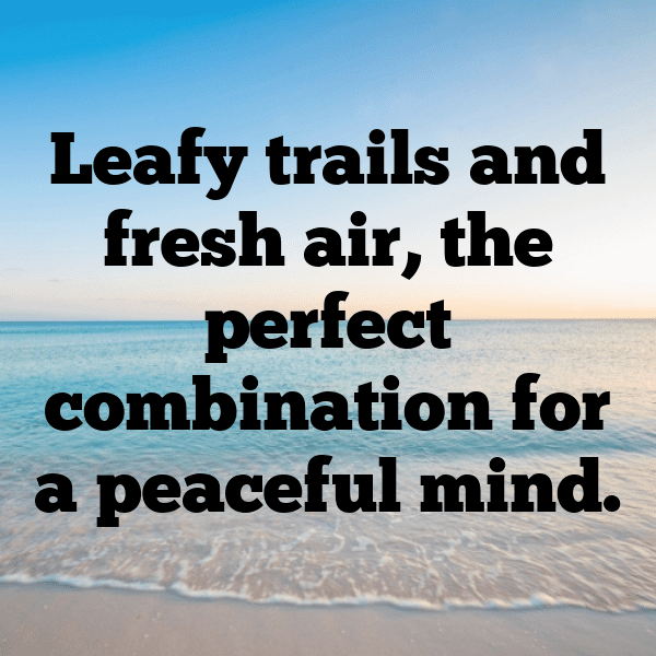 326+ Eco Adventure Captions for Instagram In 2025 9 Eco Adventure Captions Image for Instagram-juKEIu