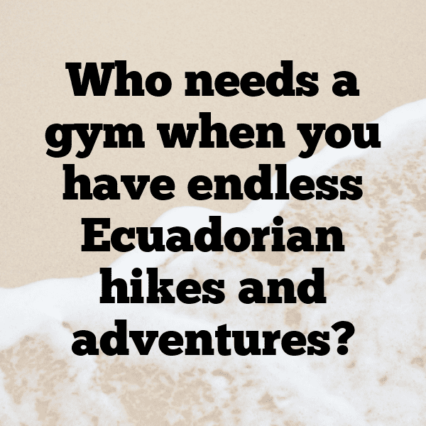 288+ Ecuador Captions For Instagram (Fresh & Trendy) 4 Ecuador Captions Image For Instagram-UGCfHB