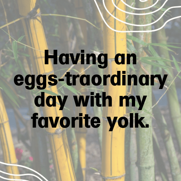 Eggplant Captions Image For Instagram-dewCEI